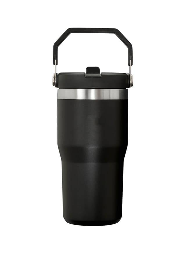 Stanley IceFlow Flip 20oz. Straw Tumbler - Black MISC